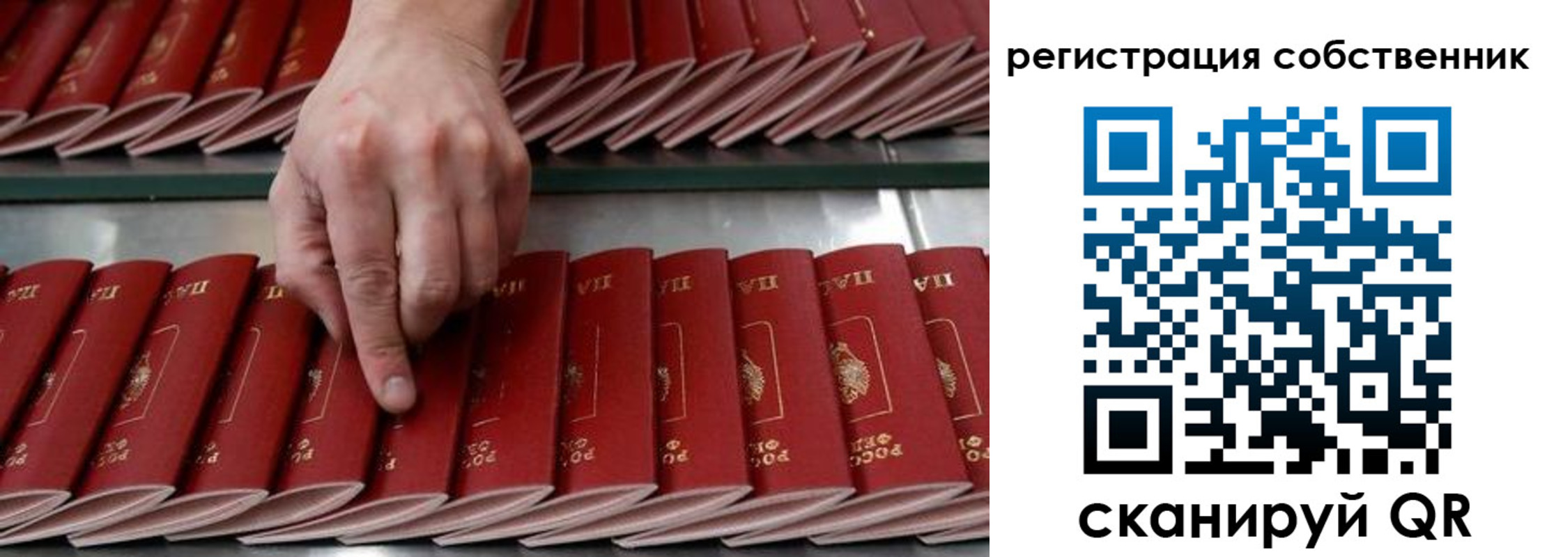 прописка ребенка в Бавлах